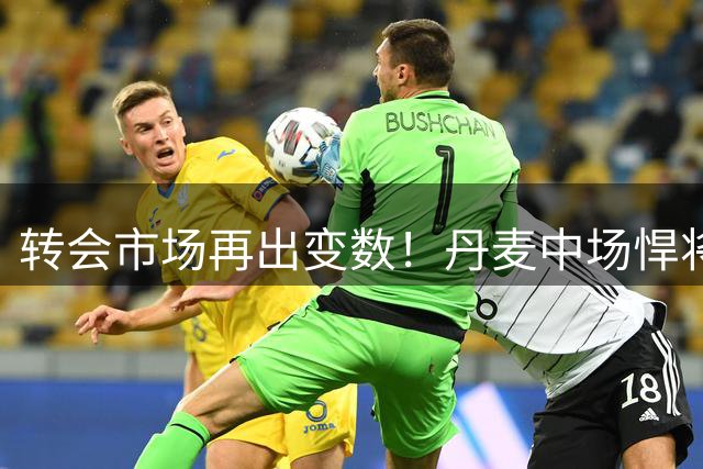 转会市场再出变数！丹麦中场悍将意外拒绝纽卡斯尔邀约